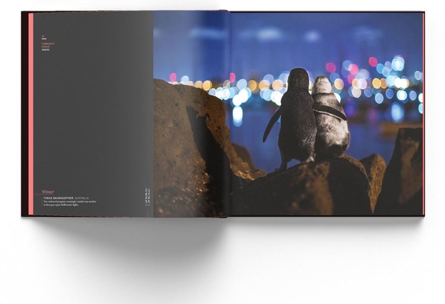 The Ocean Photography Awards Volume 1 3